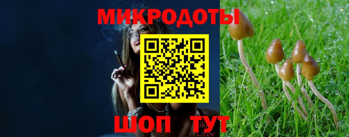 Кимры  Галлюциногенные грибы Psilocybe  Вход с VPN 
